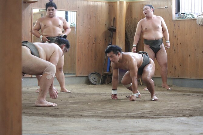 Experience the World of Sumo - Sumo Training Session