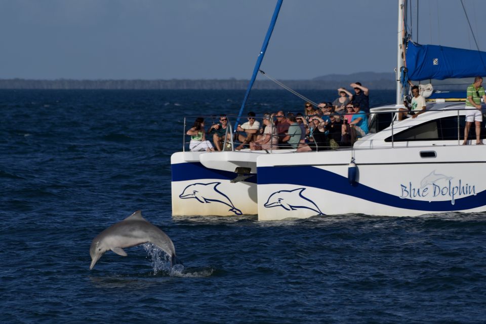 Fraser Island 4-Hour Eco-Sailing Adventure - Inclusions and Highlights