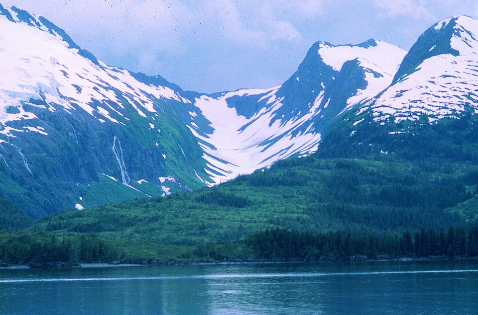 From Anchorage: Wilderness, Wildlife, & Glacier Experience - Expert Guide Commentary