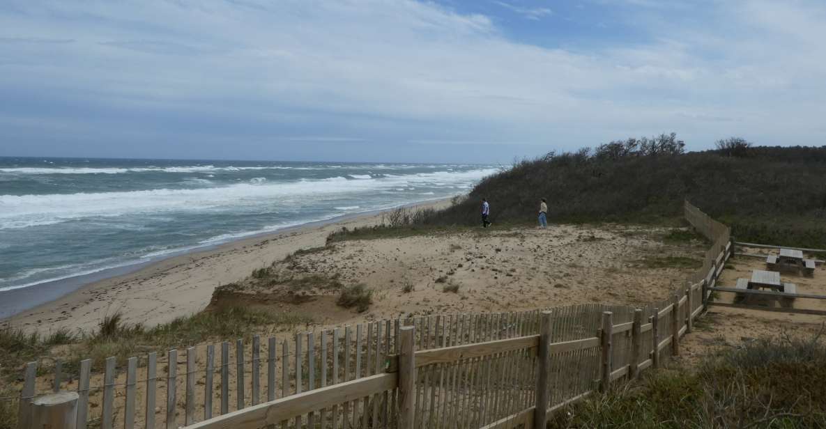 From Boston: Cape Cod and Provincetown Private Day Tour - Return Location and Optional Stops
