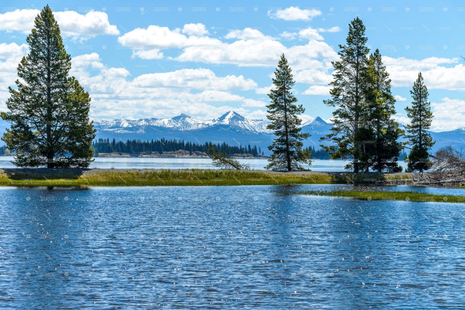 From Bozeman: Yellowstone Full-Day Tour With Entry Fee - Highlights