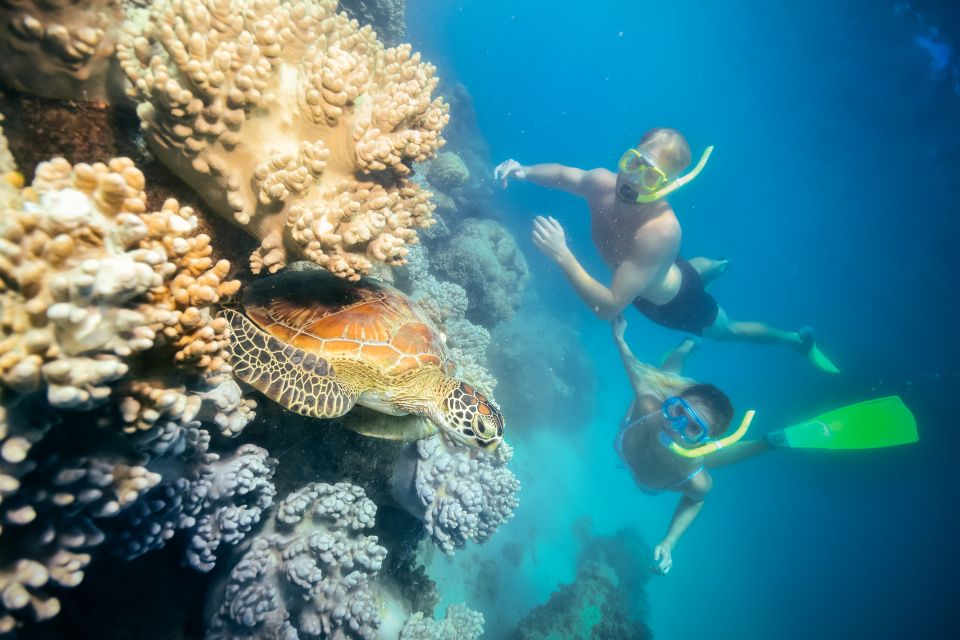 From Cairns: Green Island Snorkelling or Glass Bottom Boat - Island Highlights