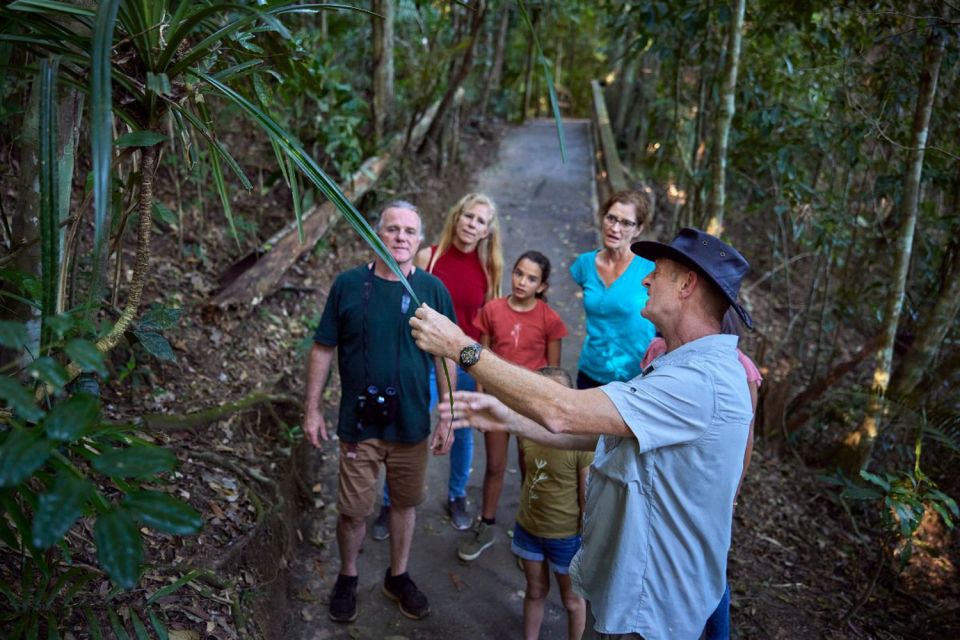 From Cairns: Rainforest & Nocturnal Wildlife Tour - Important Information