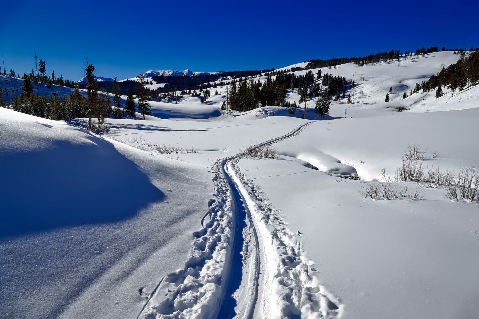 From Gardiner: Yellowstone National Park Snowshoe Tour - Inclusions