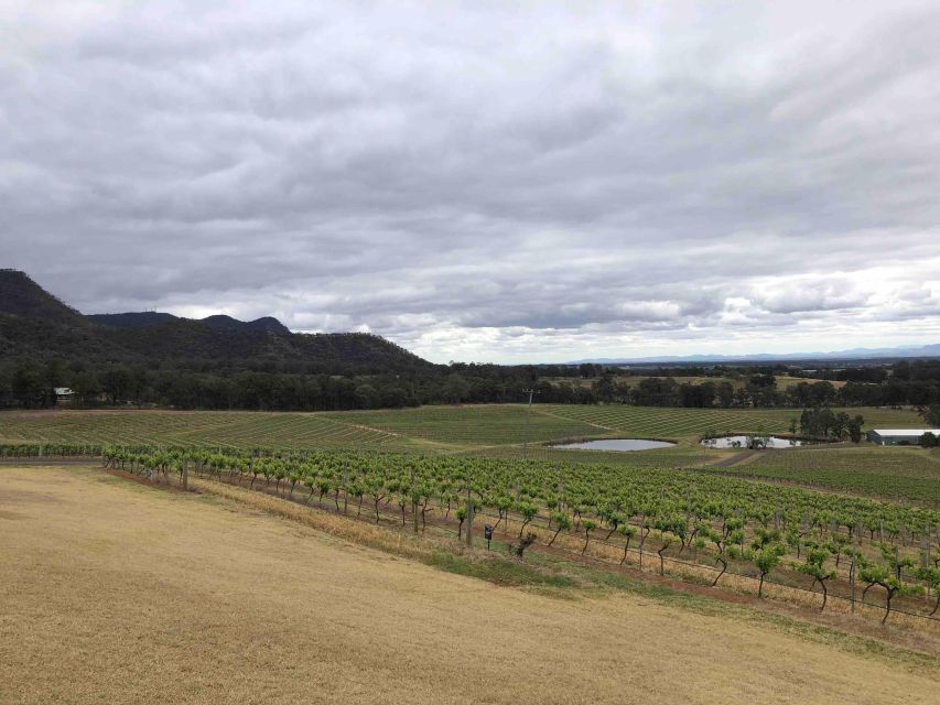 From Haymarket: Hunter Valley Wine and Wildlife Day Trip - Itinerary Highlights