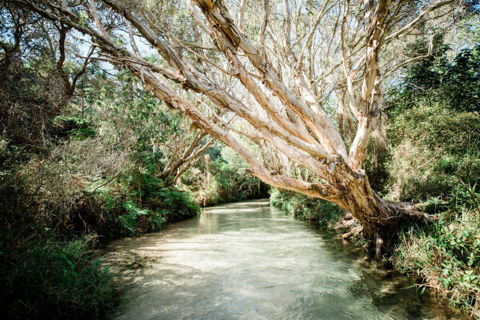 From Hervey Bay: Kgari, Fraser Island Full-Day Coach Tour - Meeting Point and Departure