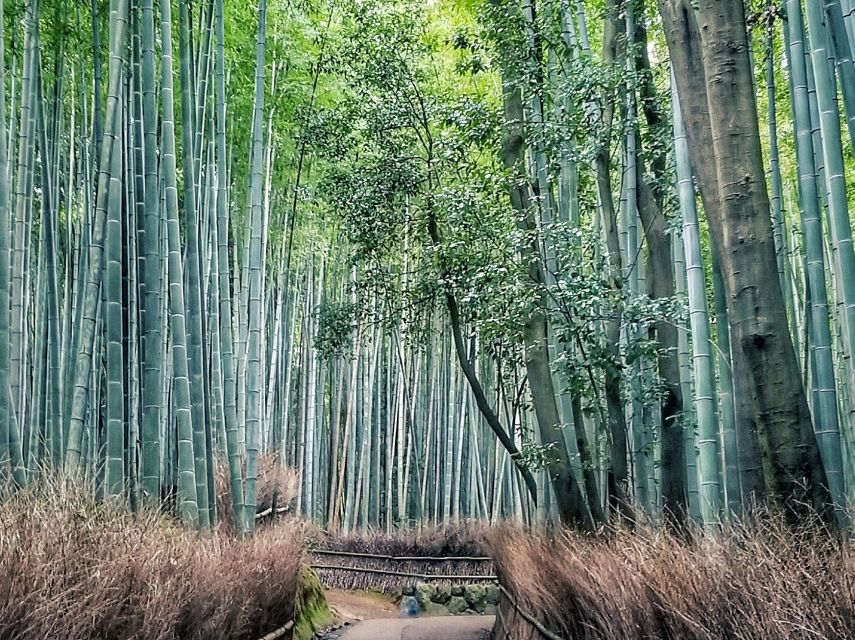 From Kyoto: Kyoto and Nara Golden Route Full-Day Bus Tour - Nara Park and Kasuga-taisha Shrine