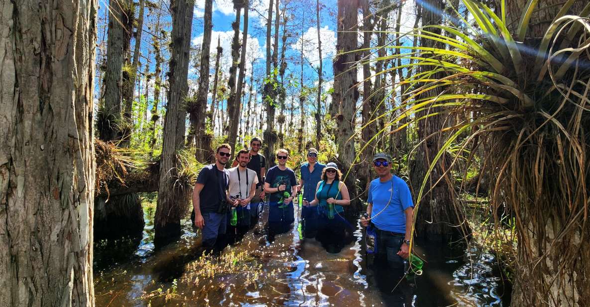 From Miami: Everglades Tour W/ Wet Walk, Boat Trips, & Lunch - Wildlife Encounters