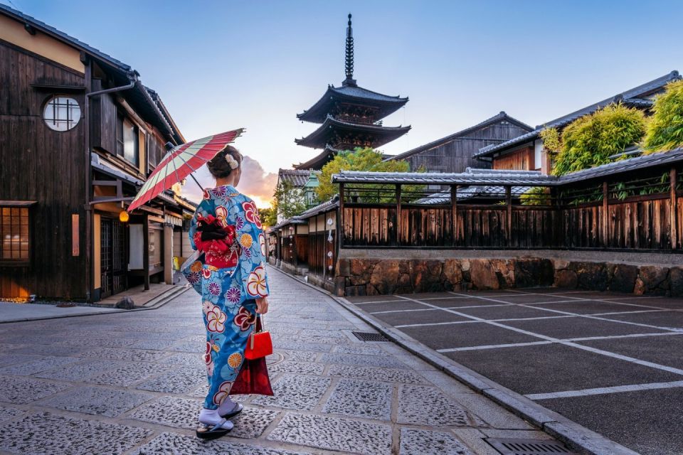 From Osaka: Kyoto Private Day Tour - Accommodation and Language Support