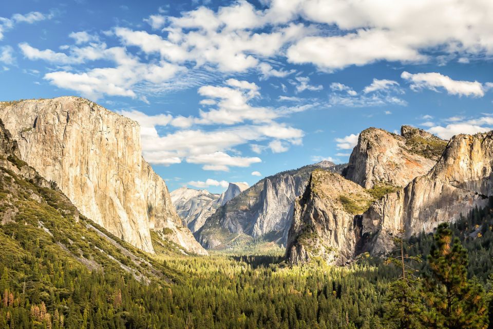 From San Francisco: Yosemite Private Full-Day Trip - Customer Reviews