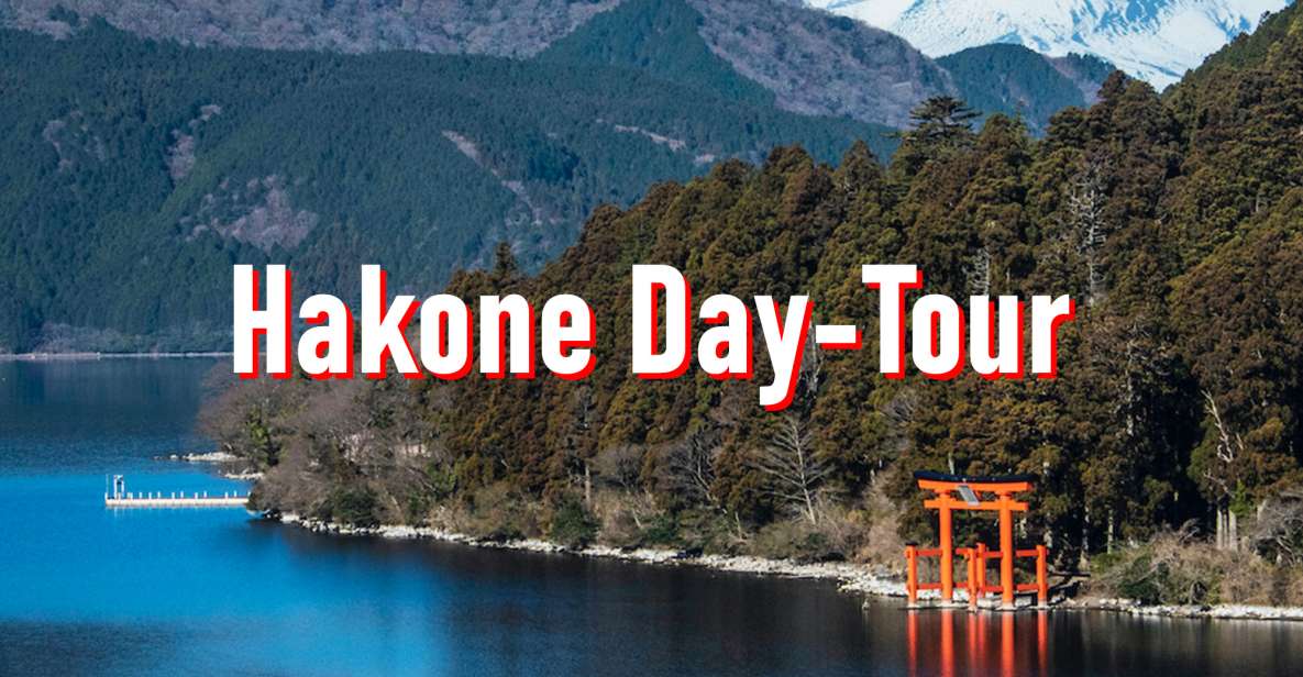 From Tokyo: 10-hour Hakone Private Custom Tour - Tour Customization Options
