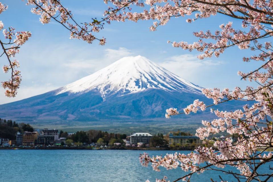 From Tokyo: 10-hour Mount Fuji Private Customizable Tour - Transportation and Guide Services