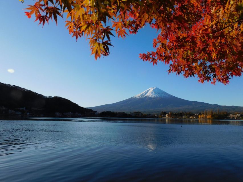 From Tokyo: Hakone, Owakudani, & Lake Kawaguchi Day Tour - Owakudani Valley Excursion