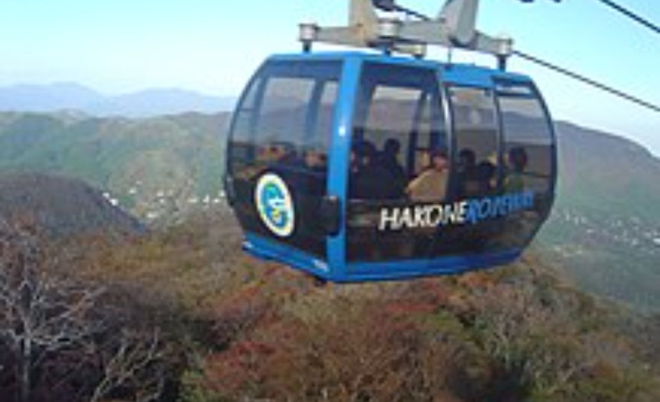 From Tokyo: Mt Fuji and Hakone Customizable Private Day Trip - Restrictions and Limitations