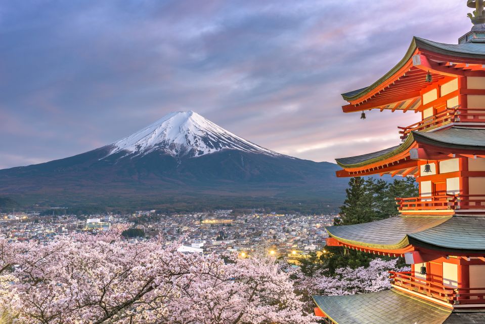 From Tokyo: Private Sightseeing Tour to Mount Fuji & Hakone - Cancellation Policy