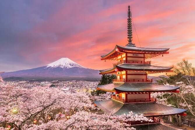 Full Day Private Tour To Mount Fuji Assisted By English Chauffeur - Cancellation Policy