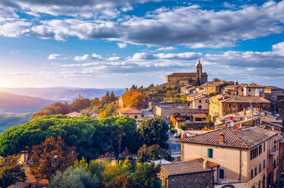 Full-Day Private Wine Tour in Montalcino - Requirements