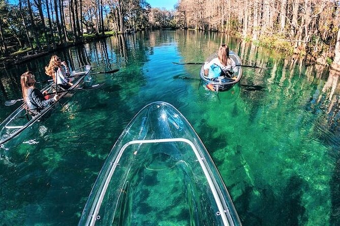 Glass Bottom Kayak Eco Tour Through Rainbow Springs - On-Water Experience