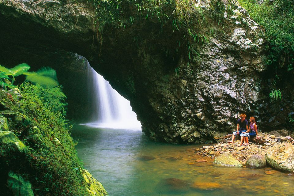 Gold Coast: Natural Bridge Glow Worm Night Tour - What to Bring