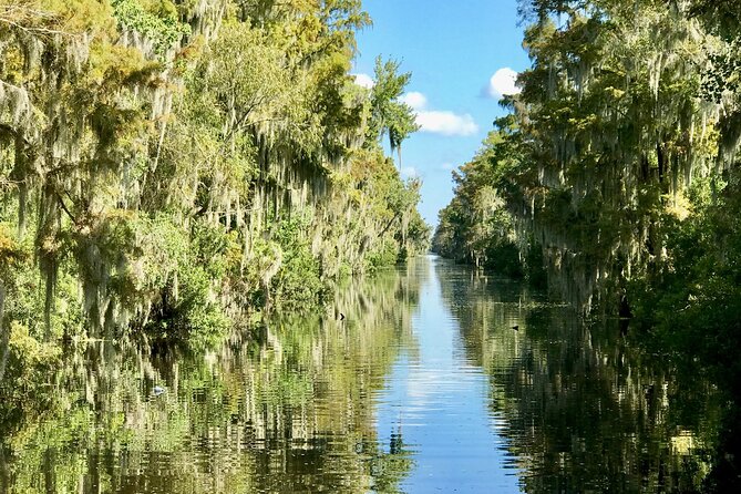 Guided Boat Tour of New Orleans Bayou and Wildlife - Customer Reviews