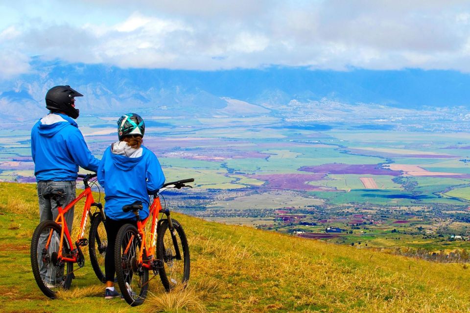 Haleakala Guided Bike Tour With Bike Maui (Daytime) - Upcountry Maui Exploration