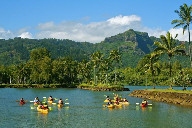 Half-Day Kayak and Waterfall Hike Tour in Kauai With Lunch - Tour Activities