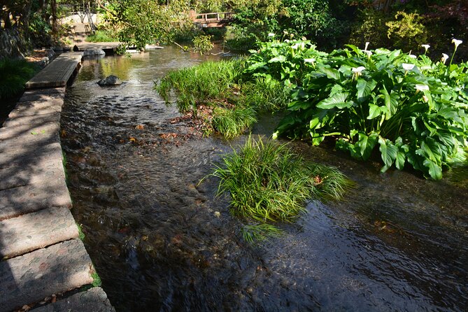 Hike the Hakone Hachiri - Tour Restrictions