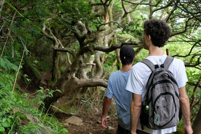 Hike the Outer Rim of Hakone Caldera and Enjoy Onsen Hot Spring Tour - Admiring Lake Ashinoko