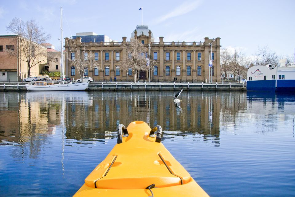 Hobart City 2.5-Hour Kayak Tour - Recap