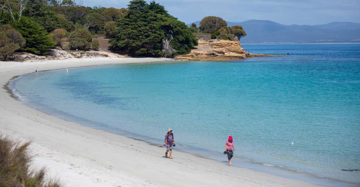 Hobart: Maria Island National Park Active Full-Day Tour - Tour Inclusions