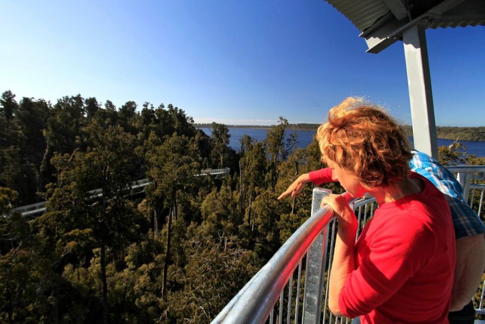 Hokitika: West Coast Tree Top Tower Zip Line and Walk - Restrictions