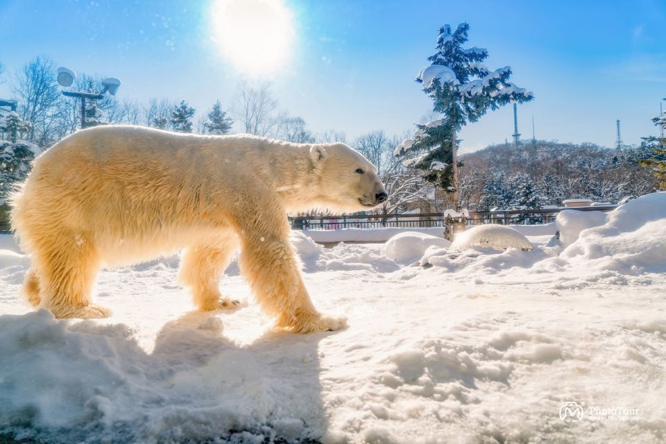 Hokkaido: Asahiyama Zoo, Furano, and Ningle Terrace Tour - Exploring Furanos Attractions