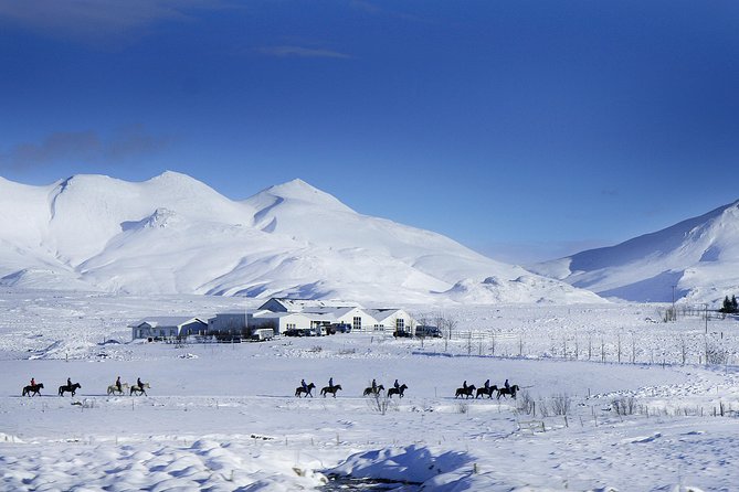 Icelandic Horseback Riding Tour Including Pick up From Reykjavik - Pickup and Location Details