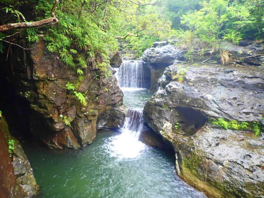 Iriomote Island: Guided 2-Hour Canyoning Tour - Meeting Point