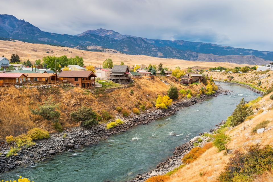 Jackson: 2-Day Yellowstone National Park Tour With Lunches - Customer Reviews and Testimonials