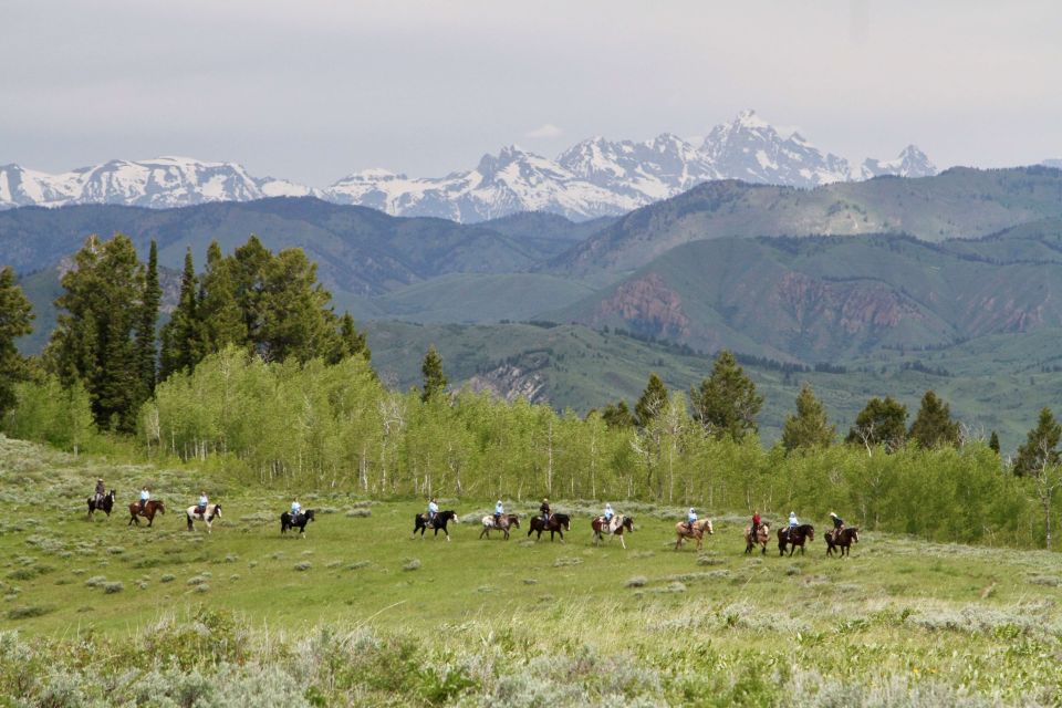 Jackson Hole: Teton View Guided Horseback Ride With Lunch - Meeting Point Directions