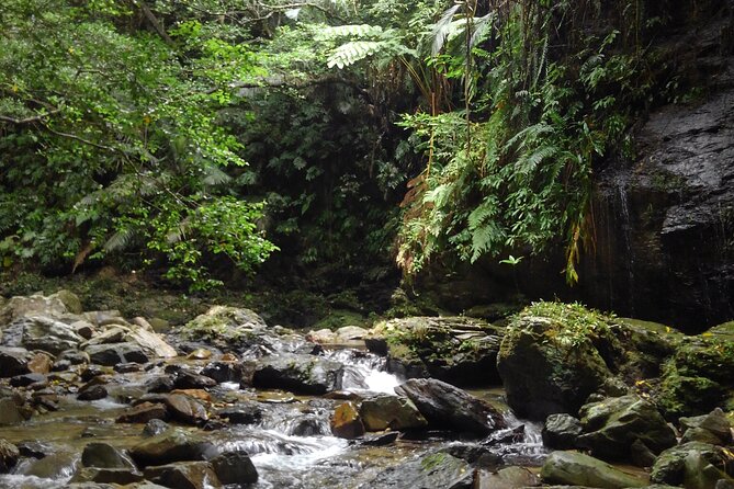 Jungle River Trek: Private Tour in Yanbaru, North Okinawa - Pricing