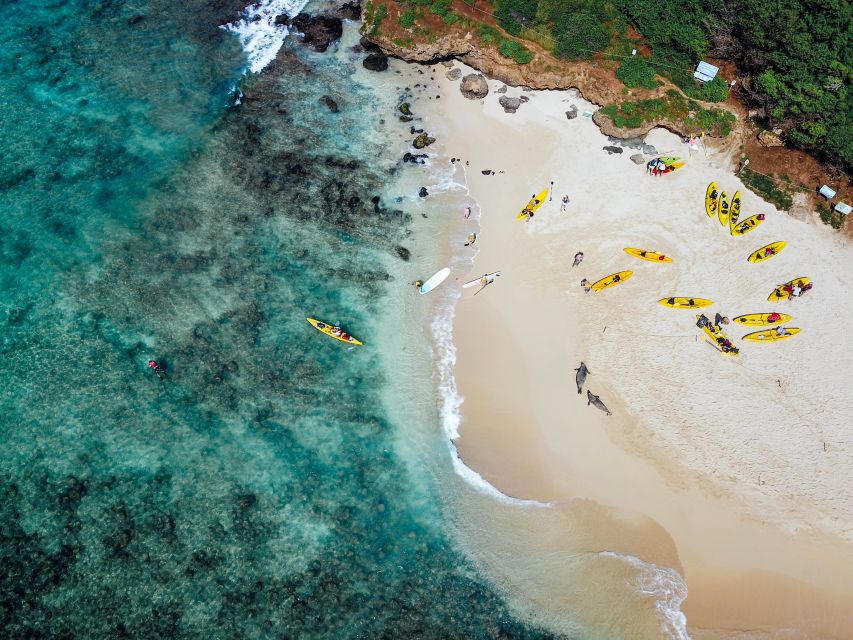 Kailua: Guided Kayaking Tour With Lunch, Snacks, and Drinks - Wildlife Encounters