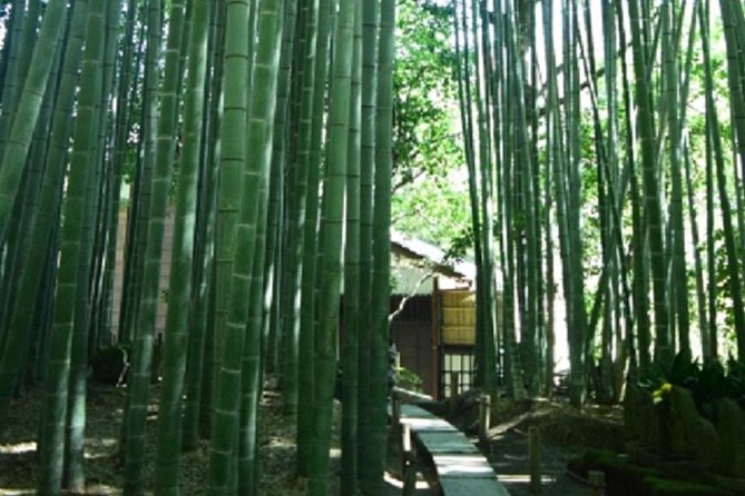 Kamakura Bamboo Forest and Great Buddha Private Tour - Tour Restrictions