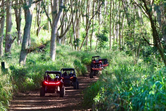 Kauai ATV Backroads Adventure Tour - Additional Information