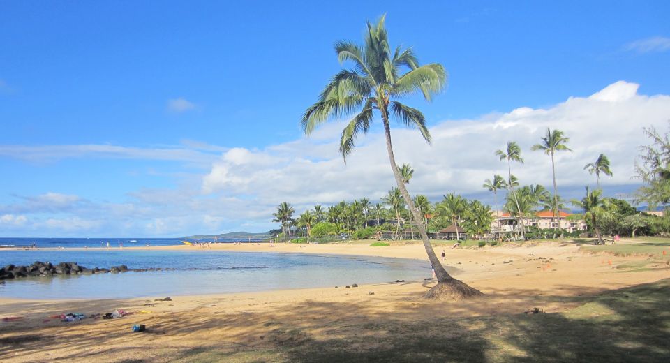 Kauai: Customized Luxury Private Tour - Cancellation Policy