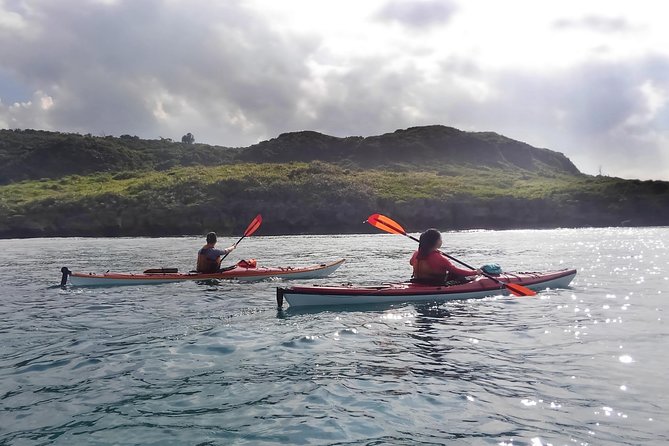 Kayak Mangroves or Coral Reef: Private Tour in North Okinawa - Weather and Sea Conditions