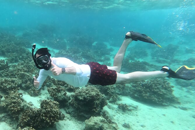 Kayak & Snorkel: Private Tour in Yanbaru, North Okinawa - Physical Requirements