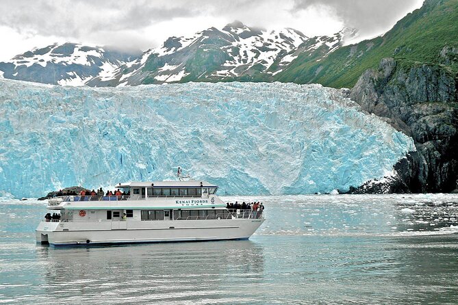 Kenai Fjords National Park Cruise From Seward - Reviews