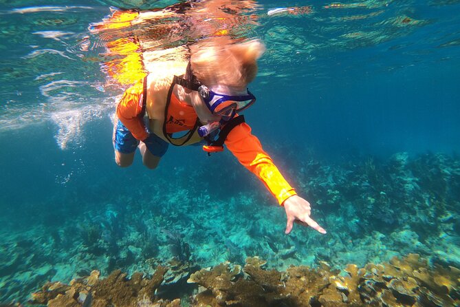 Key Largo Two Reef Snorkel Tour - All Snorkel Equipment Included! - Customer Reviews