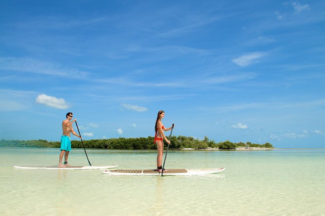 Key West Island Adventure: Kayak, Snorkel, Paddleboard - Important Reminders