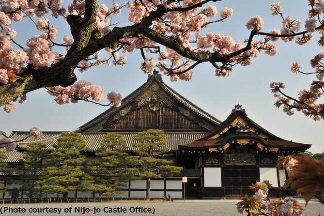 Kyoto 1 Day Trip-Golden Pavilion & Kiyomizu Temple From Osaka - Itinerary: Fushimi Inari Taisha