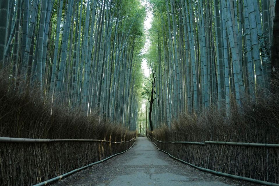 Kyoto: Early Morning Tour With English-Speaking Guide - Exploring Arashiyama District