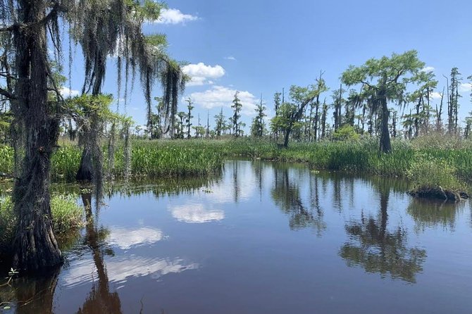 Large Airboat Swamp Tour With Transportation From New Orleans - Frequently Asked Questions