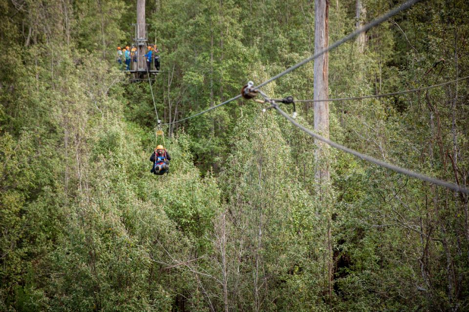 Launceston: Hollybank Forest Treetop Zip Lining With Guide - Frequently Asked Questions